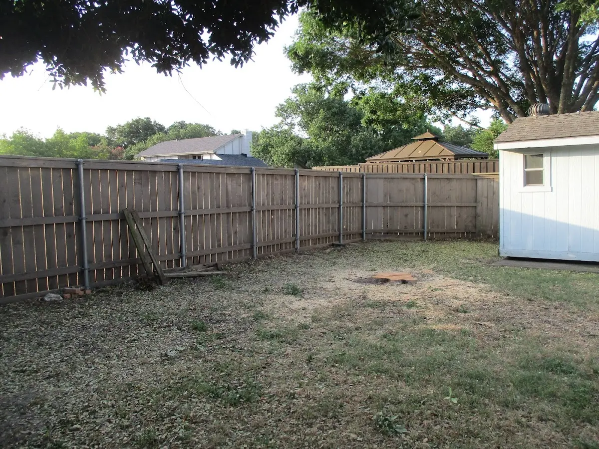 Cleared yard after professional tree removal in Spartanburg